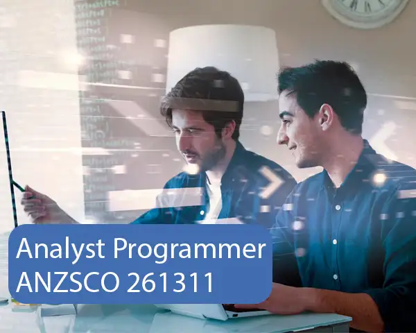Analyst Programmer