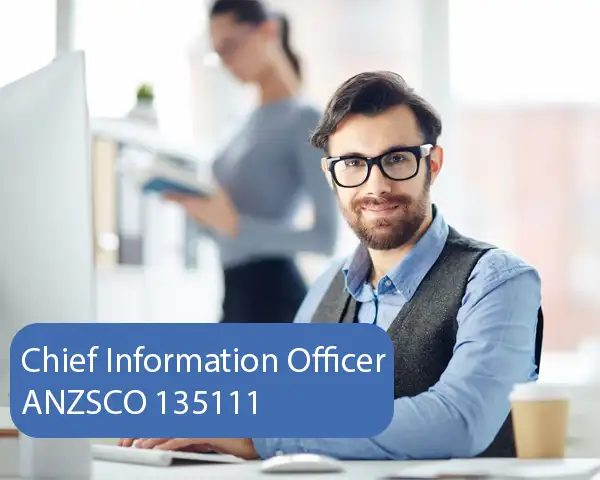 Chief Information Officer