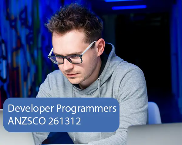 Developer Programmer