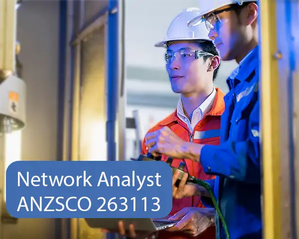 Network Analyst