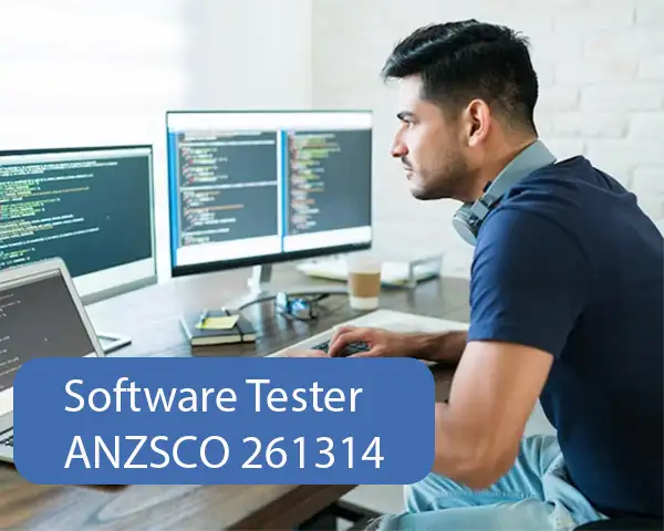 Software Tester